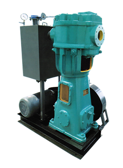  Vacuum Pump 2BE-202 
